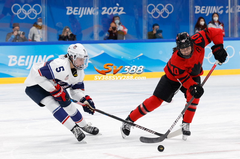 Ice Hockey là gì? Cách chơi cá cược Khúc côn cầu trên băng