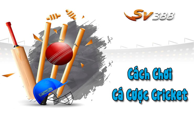 Ccahs chơi cá cược Cricket