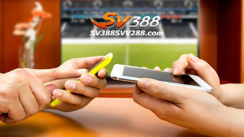 Mẹo cá cược bong đá